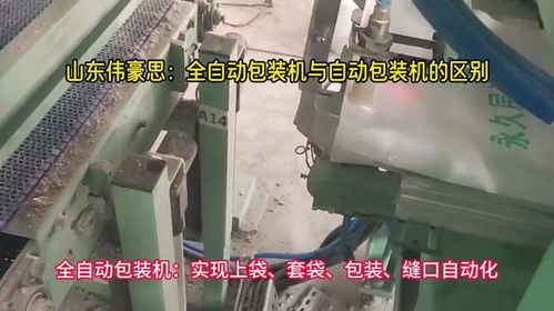 粉料全自動包裝機(jī) 人工上袋自動包裝秤的區(qū)別