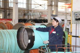 西橡連續四年位列橡膠行業百強企業