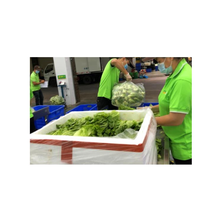 東莞蔬菜配送服務 新鮮直達，便利生活