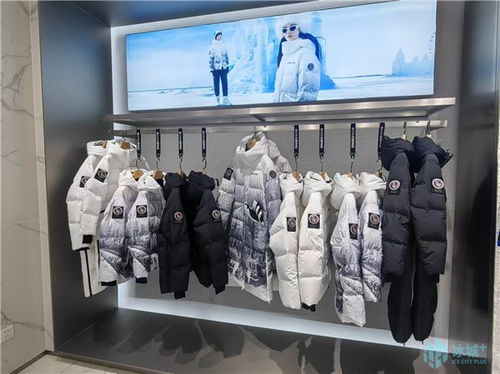 刷新當(dāng)年落地 當(dāng)年生產(chǎn) 當(dāng)年上市的 哈爾濱速度 立冬時節(jié) 爾濱 波司登 如約而至