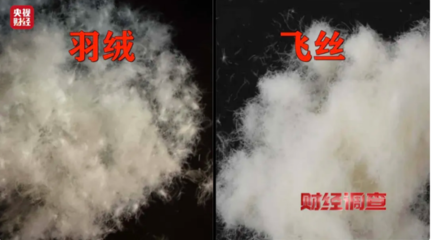 以&ldquo;絲&rdquo;代&ldquo;絨&rdquo;亂象頻生,消費者選購羽絨服時應(yīng)注意什么?