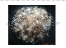 杭州雙楠羽絨制品