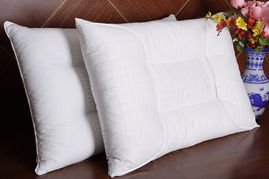 羽翼生輝，暖動蕭山 第十五屆中國羽絨制品及服裝服飾博覽會暨首屆蕭山國際羽絨節啟幕